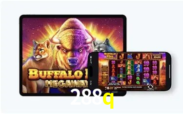 Flash Promotion 288q